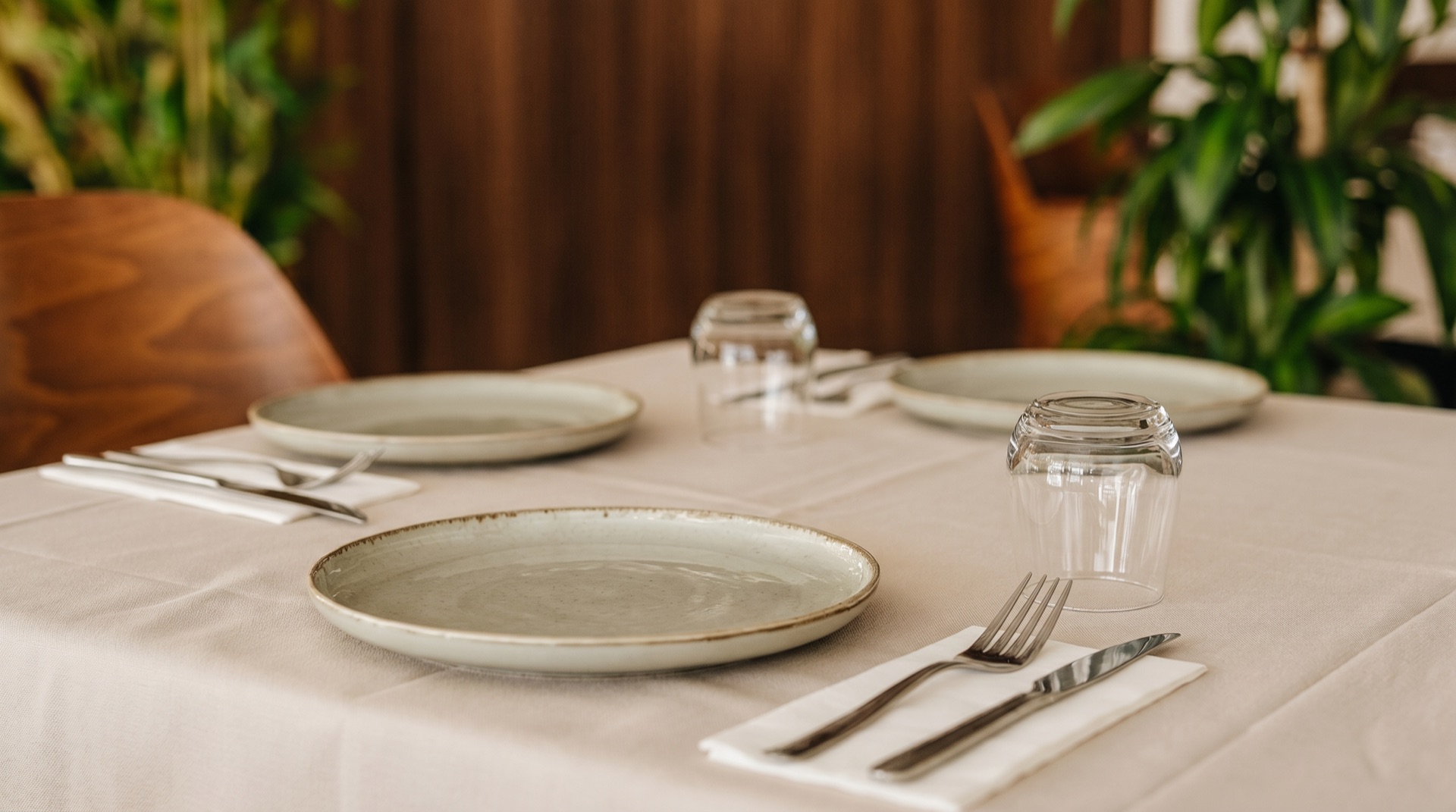Culinary Setting